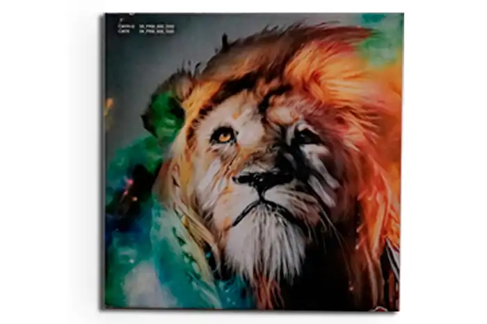 impresion de ceramica en guatemala, impresion de ceramica, impresión, cerámica, lona impresa, impresión vinil, impresión cerámica, impresión digital, litografía, impresión de gran formato, impresión gran formato, impresion digital en pisos, impresion en vinil, grafico de piso, grafica de piso, vinil para pisos, impresión 3d, impresiones, floter, centro de impresión, impresión materiales rigidos, soluciones de impresión, impresión cerámica guatemala, impresiones guatemala, impresión vinil guatemala, impresión en alta resolución guatemala